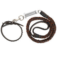 Hundeleine mit Halsband, Anti-Verlust-Halsband-Set