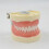 32 Dental Typodont Teeth Model Removable Tooth Model Teaching Study Typodont 19