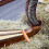 2 pezzi canne da pesca miniatura decorative per casa e foto 6