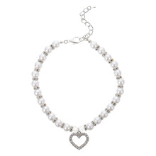 Hondenhalsband halsring accessoire huisdieren