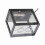 Exquisite Schwarzes USB-LED-Fischglas – Perfekte Büro- oder Tischdekoration 1