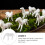 1St Micro Miniatuur Keramische Decoratie Elegant Witte 11