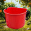 Large Collection Container Large Capacity Garden Use Red Fruit Picking Bucket 4