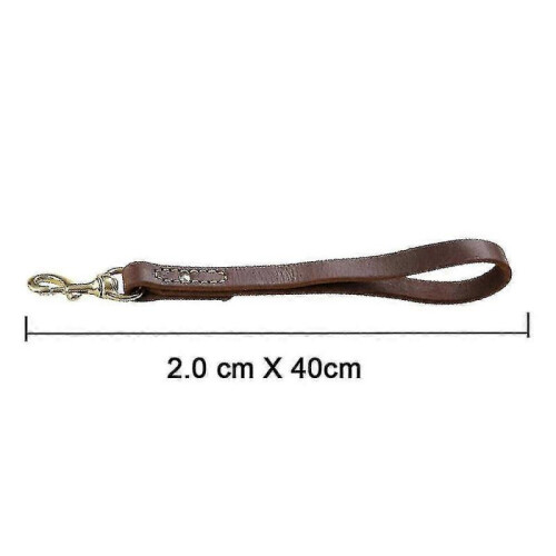 Dogs Bed Dog Short Traffic Leash B 1