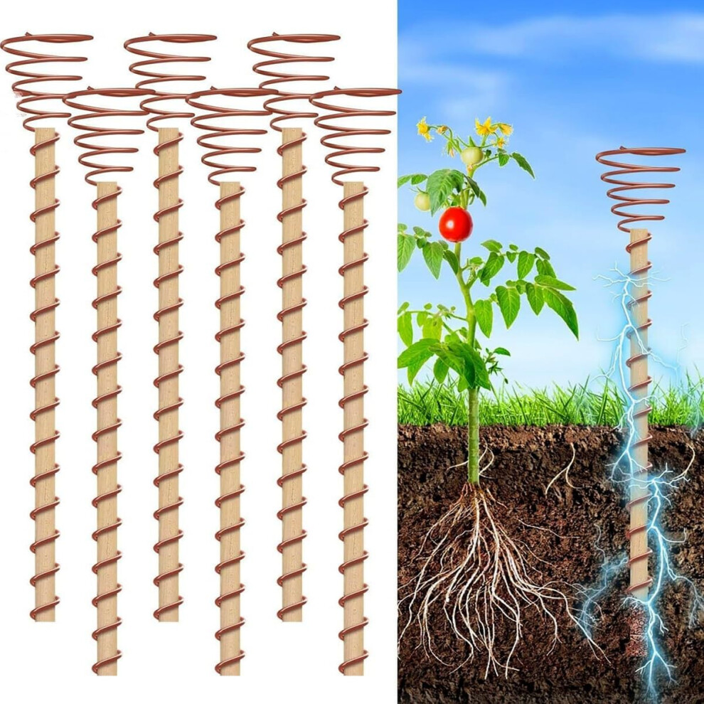 Electroculture Plant Stakes 6-Pack Copper Gardening Antennas, Copper Coil Antennas For Plants, Floral Vegetable Growth 9084446970678