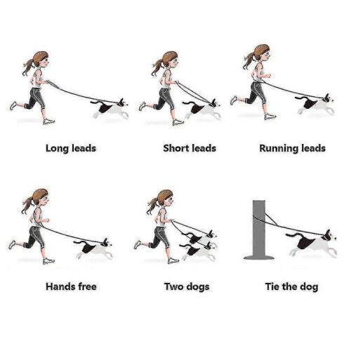 Rope Dog Leash, Leash for Dog Hi Cam 2