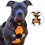 No-pull Dog Harness Padded Adjustable Pet Vest Harness Clip Harness 2