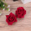stoffen haarspeld kunstbloem bruids haaraccessoire feest 5