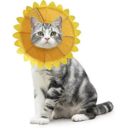 Adjustable Collar, Suitable for Cats And Puppies 1