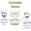Electric Yoghurt Making Machine, Green 1.2L, Stainless Steel Liner, Temperature Controlled, Multi-Function Yoghurt Maker 4