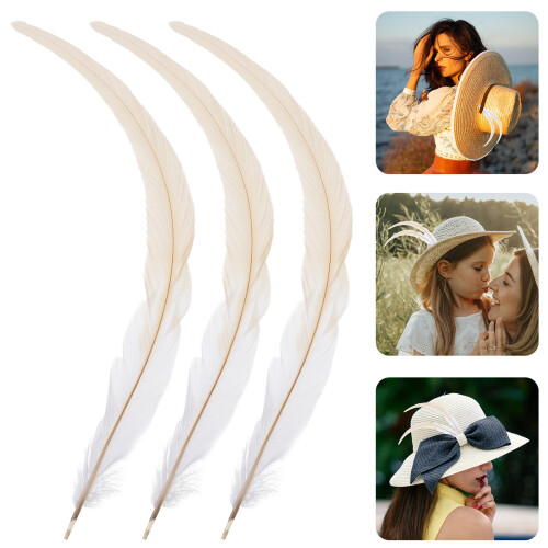 in trasparente per alimenti e dolci 2