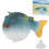 Aquarium Kugelfisch Leuchtender Simulation 9