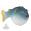 Aquarium Kugelfisch Leuchtender Simulation 6