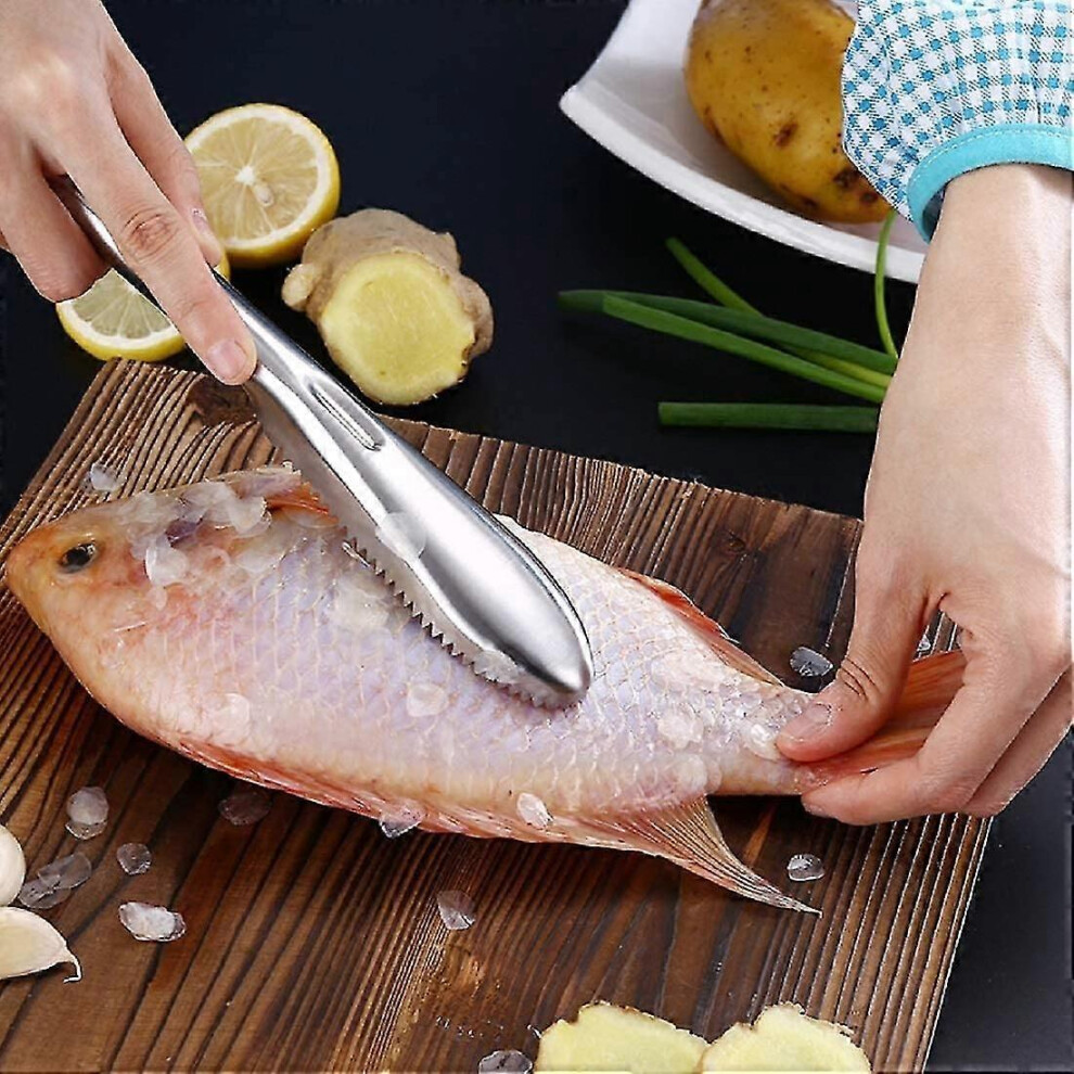 Fish Scale Remover, Fish Scale Scraper, Stainless Steel Cleaning Brush, Easy Remover Tool