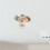30 mini hars ijscoupons hangers voor DIY knutselprojecten 3