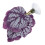 Betta Fish Leaf Pad, 7