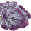 Betta Fish Leaf Pad, 13