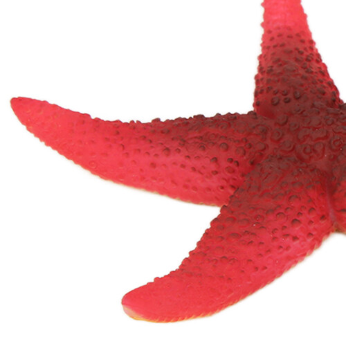 Aquarium-Simulation, leuchtender Seestern, 1