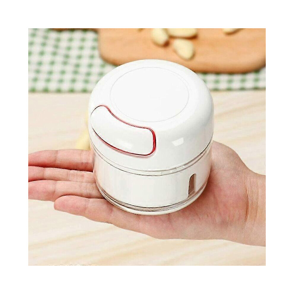 Mini portable garlic choppers, mincers and hand choppers. A very economical garlic chopper.