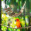 Bird Cage Ladder Vogelladder Papegaaien 8