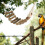 Bird Cage Ladder Vogelladder Papegaaien 6