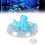 Aquarium Simulation Octopus Aquarium 9
