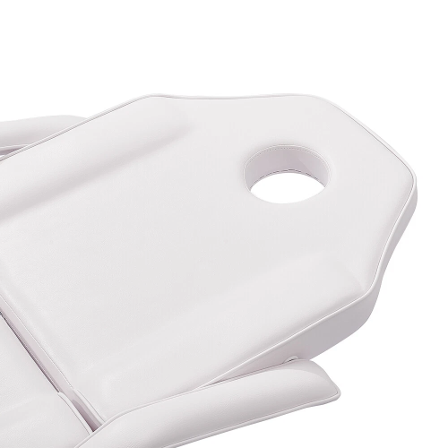 Massage Table 3 Section Adjustable Bed Couch 1