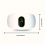 Weight Loss Vibration Massager Fat Burner 2