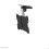 Support plafond - NewStar - FPMA-C020BLACK - Inclinable - Pivotant - 10" à 40" 2