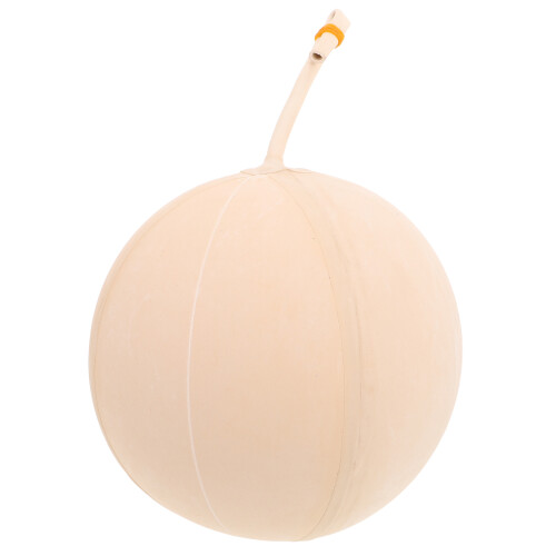 5l Gas Sampling Bladder Lab Rubber Balloon Equipment