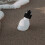 20pcs Sports Pull Cap Leak-Proof Lids for Water Bottles 4