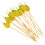 100St Delicate Picks Voor Fruit En Cocktail 4