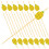 100St Delicate Picks Voor Fruit En Cocktail 7