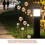 20pcs Clear Globe Lamp Shade 50mm for Ceiling Pendant Lighting 9