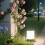 20pcs Clear Globe Lamp Shade 50mm for Ceiling Pendant Lighting 6