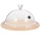Display Dome With Clear For Home Users 1 Set 6