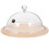 Display Dome With Clear For Home Users 1 Set 10