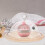 Display Dome With Clear For Home Users 1 Set 11