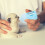 Kitten Feeding Bottle Blue Silicone Safe Design For Newborns 7