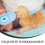 Kitten Feeding Bottle Blue Silicone Safe Design For Newborns 9