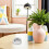 12pcs Round Tinplate Cookie Box with Lid Metal Container 6