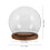Cloche Dôme Verre Base Eva Support Décoratif Pour Fleurs 2