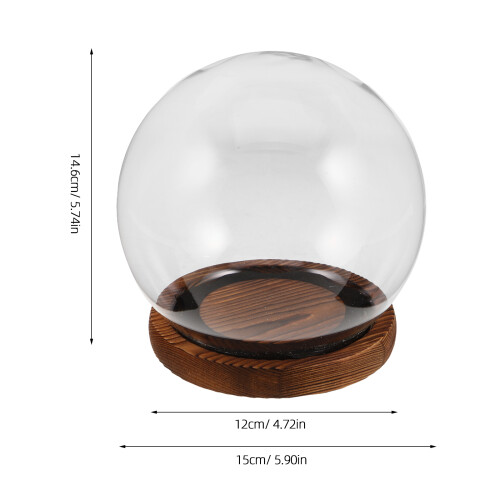 Cloche Dôme Verre Base Eva Support Décoratif Pour Fleurs 2