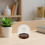 Cloche Dôme Verre Base Eva Support Décoratif Pour Fleurs 6