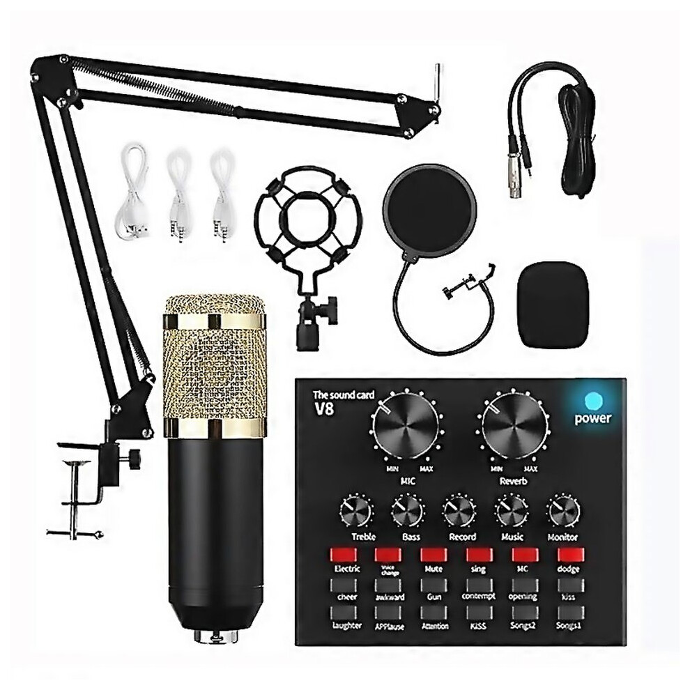 For Audio Condenser Mic Studio Singing Microphone