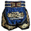 Short Enfant - THAI Boxe Kickboxing - Couleur Bleu - Taille 12-14 ANS - 100% Satin Polyester 3