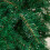 Samuel Alexander 8ft (2.50m) Samuel Alexander Single Door Plain Green Christmas Tree Arch with 2000 Tips 4
