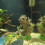 Aquarium Baumstamm Dekoration Harz Simulation Baum 12