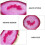 1pc Agate Stone Coaster Round Heat Insulation Pad 2