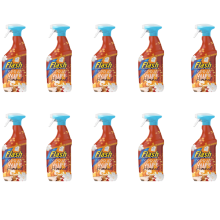 Flash Spray Wipe Hinched Cosy Season All Purpose Cleaner 10 x 800ml